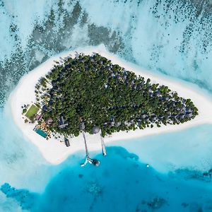 Angsana Velavaru - Book Now Enjoy 20 Percent Off Seaplane For Stay During May 6Th To Sep 30Th 2025